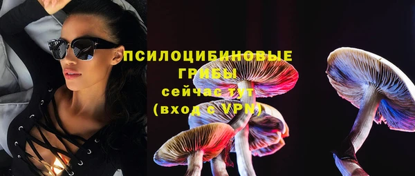 соль ск Каменногорск