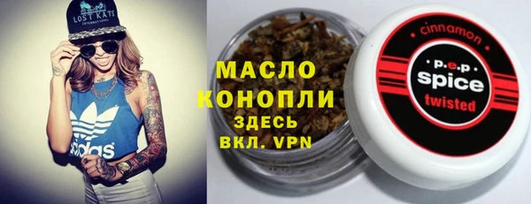 соль ск Инсар