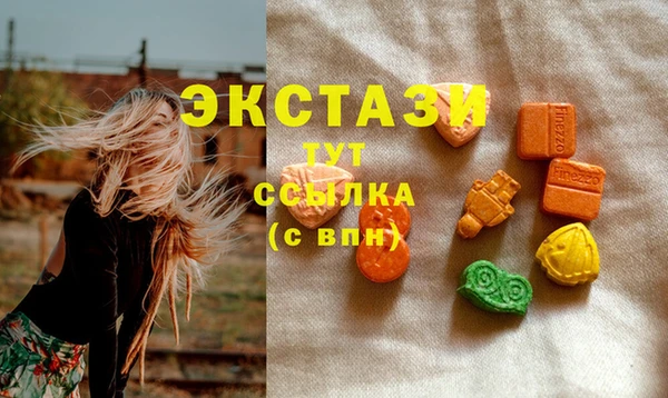 соль ск Каменногорск